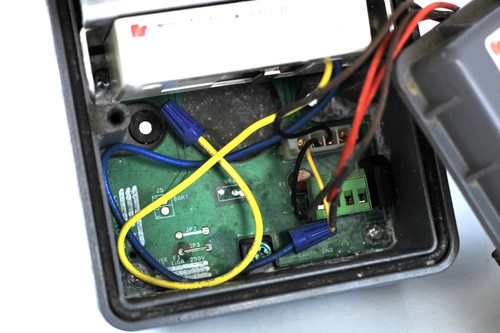 Altoparlante amplificato