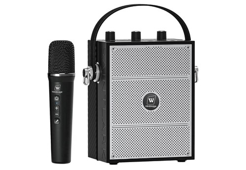Amplificatore vocale wireless
